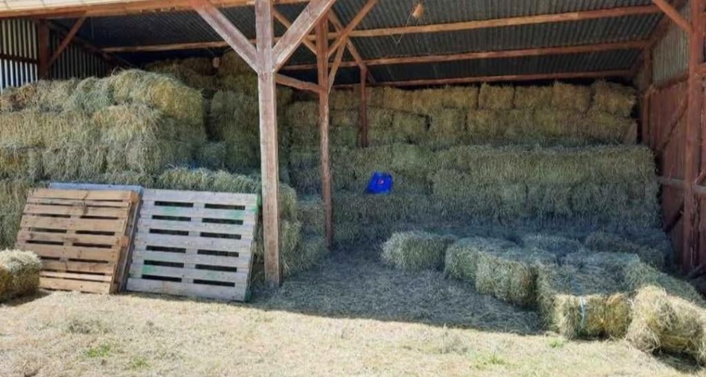 Foin, Dieren en Toebehoren, Ophalen