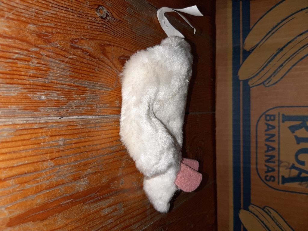 muis dekentje in vorm van een muis, Ophalen of Verzenden, Nieuw, Muis