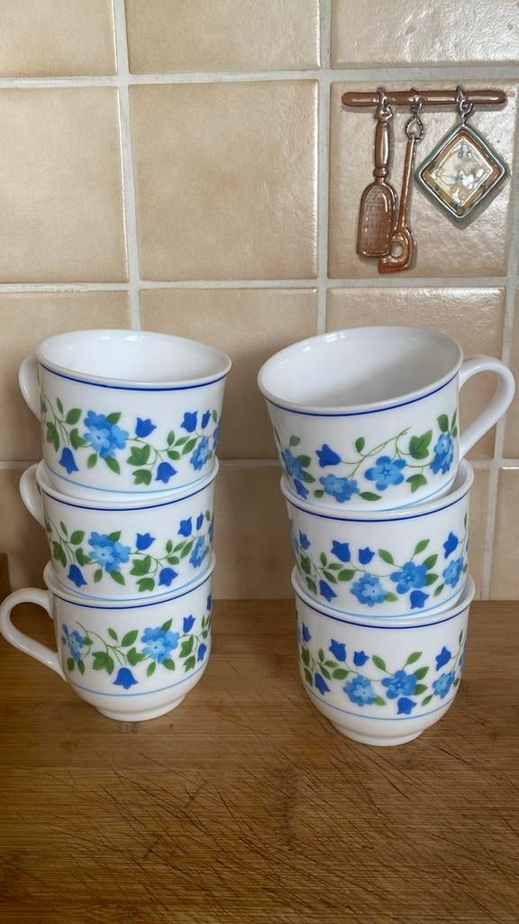 Lot de 6 anciennes tasses myosotis ( grande fleurs) rare, Enlèvement ou Envoi