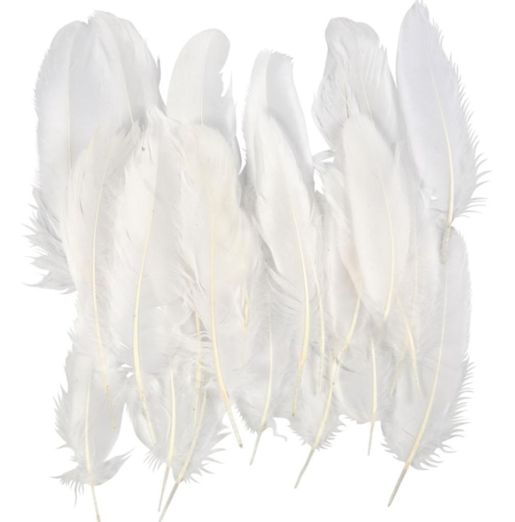 Plumes d'oie 15 cm blanches 350 pièces, Hobby & Loisirs créatifs, Envoi, Neuf