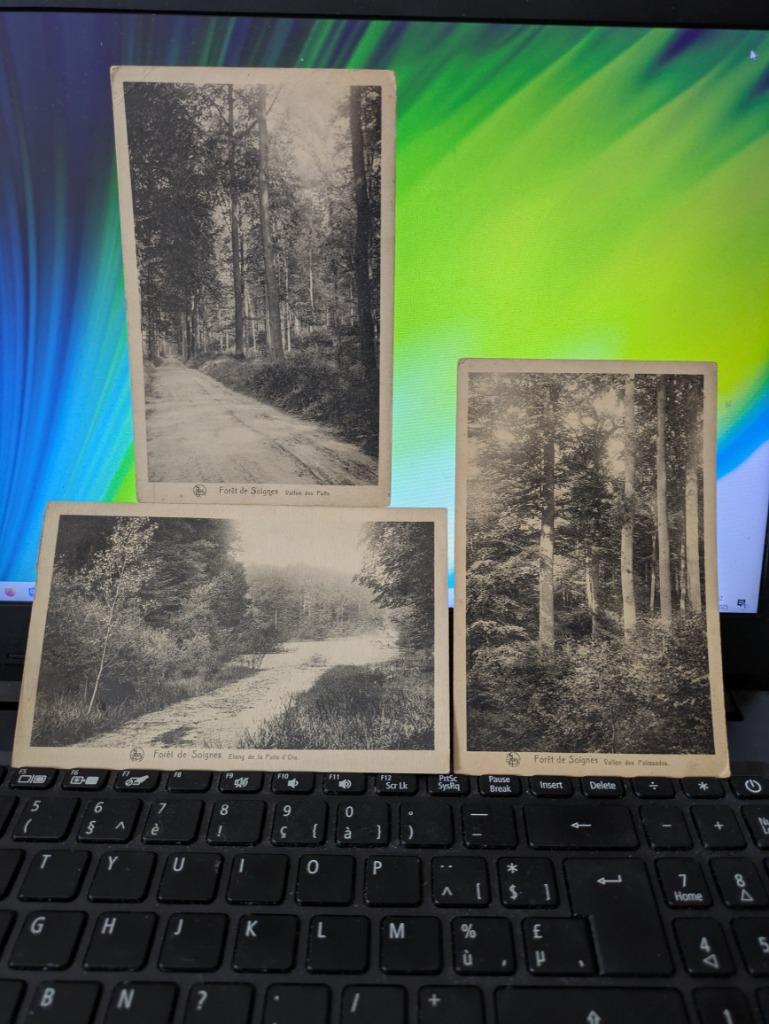 Foret de soignies, Collections, Cartes postales | Belgique, Enlèvement ou Envoi, Non affranchie
