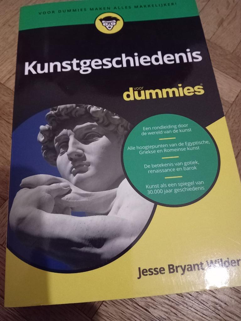 Boek kunstgeschiedenis voor dummies, Boeken, Ophalen of Verzenden