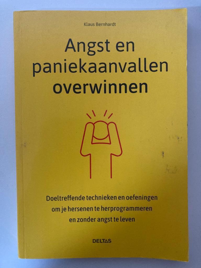 Angst en paniekaanvallen overwinnen, Ophalen of Verzenden, Zo goed als nieuw