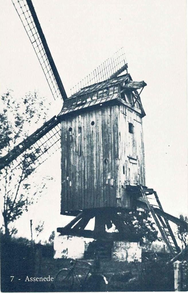 Assenede - molen, Ophalen of Verzenden, 1960 tot 1980, Ongelopen, Oost-Vlaanderen