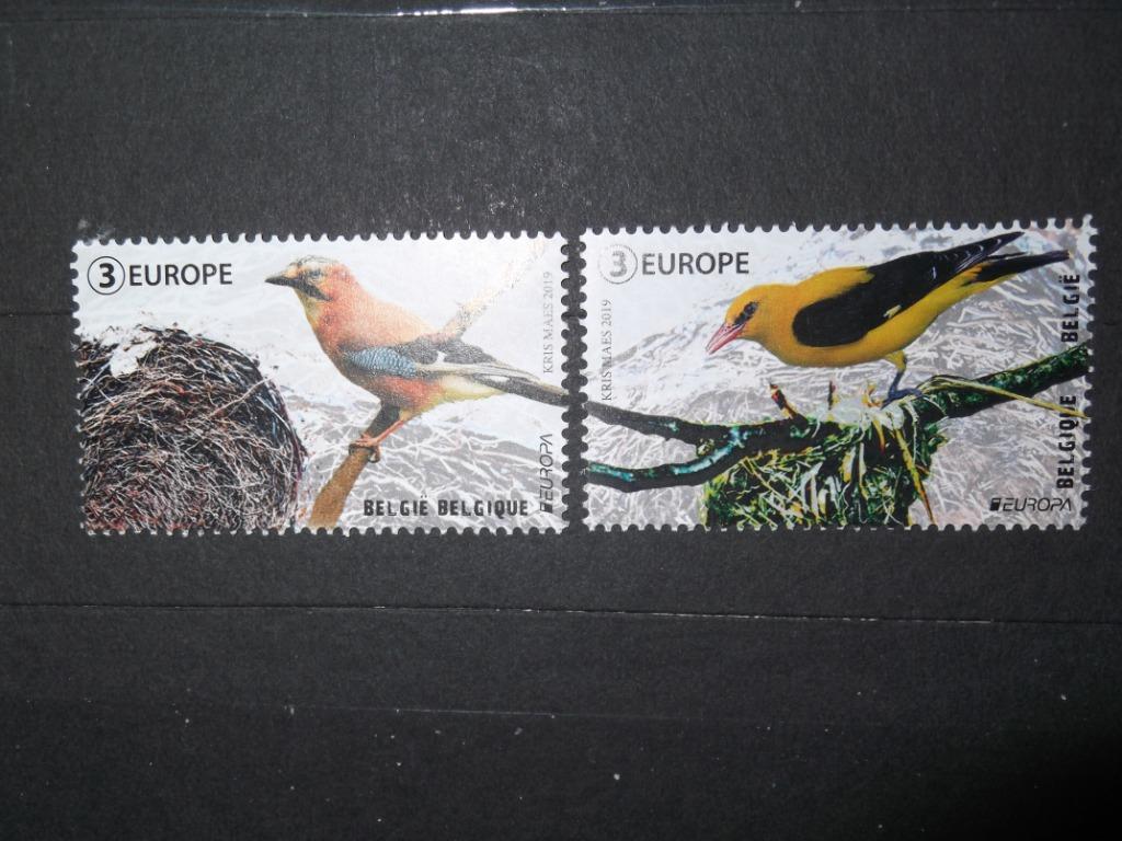 4859-4860 Nationale vogels - Oiseaux nationaux 2019 MNH, Enlèvement ou Envoi, Non oblitéré, Timbre-poste