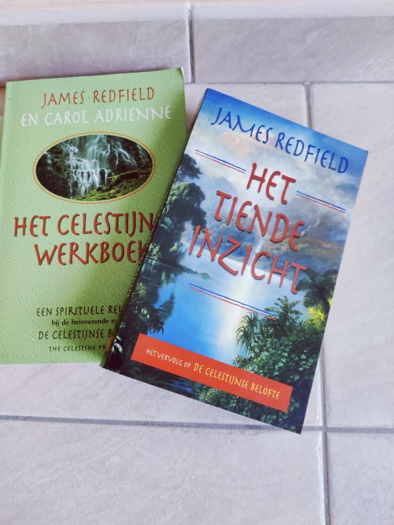 S. Hühn - Loslaten en leren vertrouwen+ 2 J. Redfield, Boeken, Ophalen of Verzenden, Zo goed als nieuw, S. Hühn