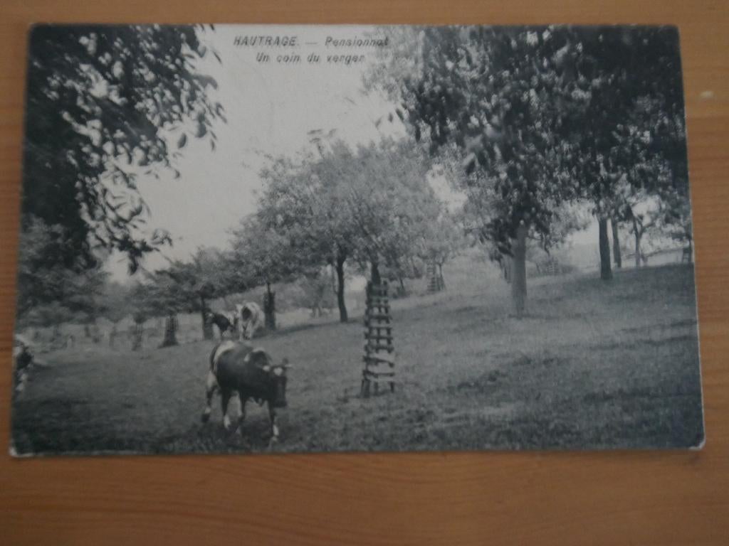 hautrage pensionnat  un coin du verger, Envoi, Affranchie, Hainaut