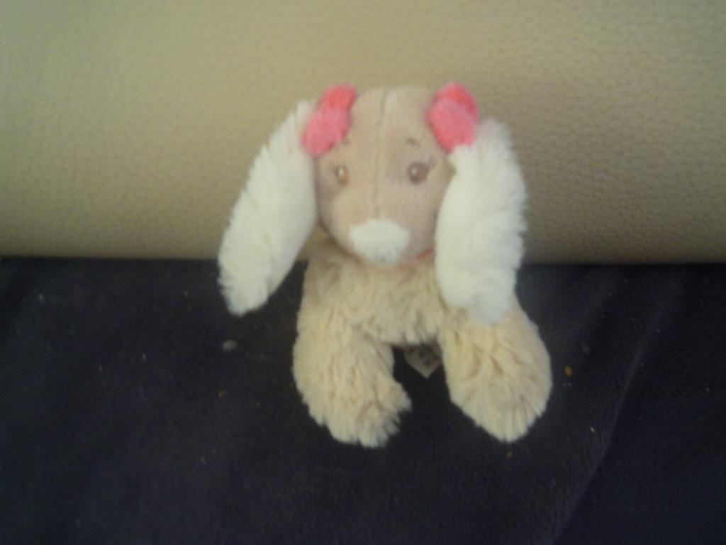 knuffel noukie,s hondje (doos k ), Ophalen of Verzenden, Nieuw