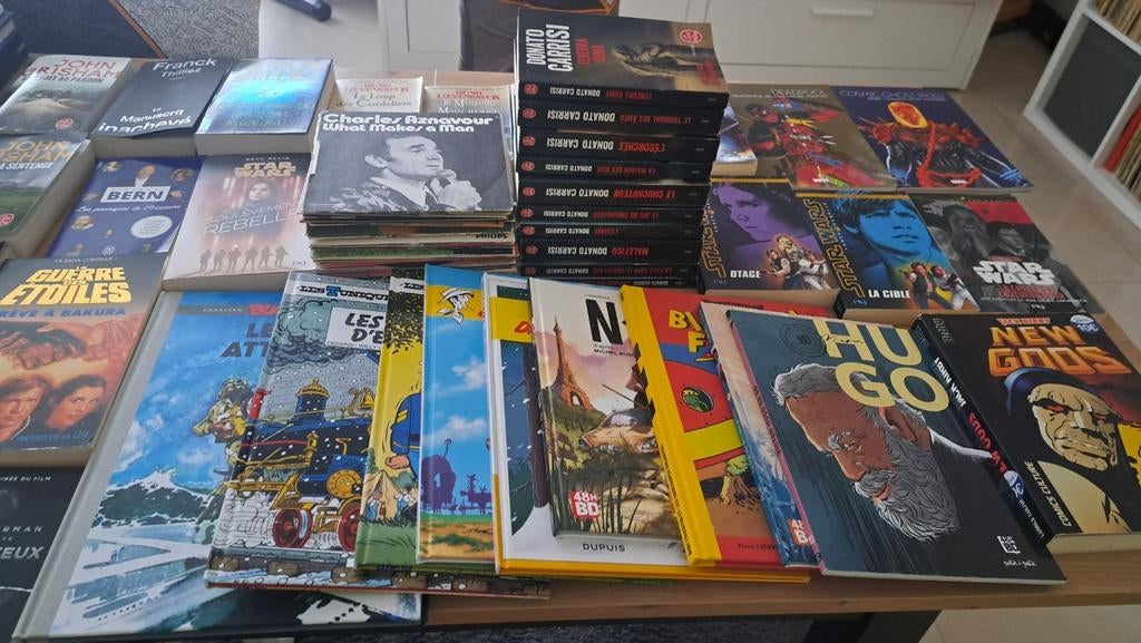 Lot brocantes 14 dvd et 42 petits vynil et 41 livres divers, Livres, Enlèvement, Comme neuf