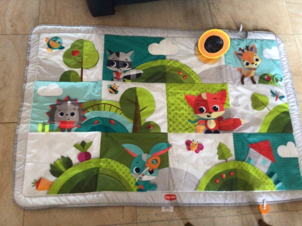 Tapis de jeu TinyLove. XL, Enlèvement, Comme neuf