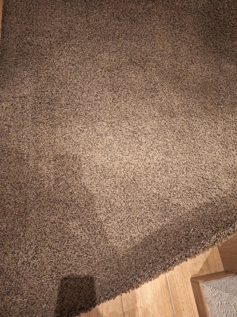 Tapis