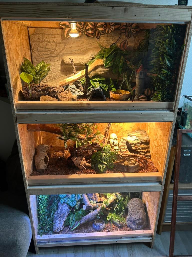 Terrariums op maat te koop, Dieren en Toebehoren, Ophalen, Nieuw, Terrarium of Paludarium