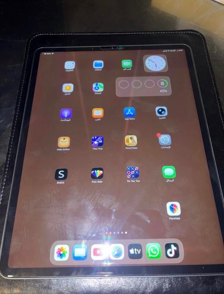 Ipad pro 12.9 / 256 /  apple pen, Ophalen, Zo goed als nieuw