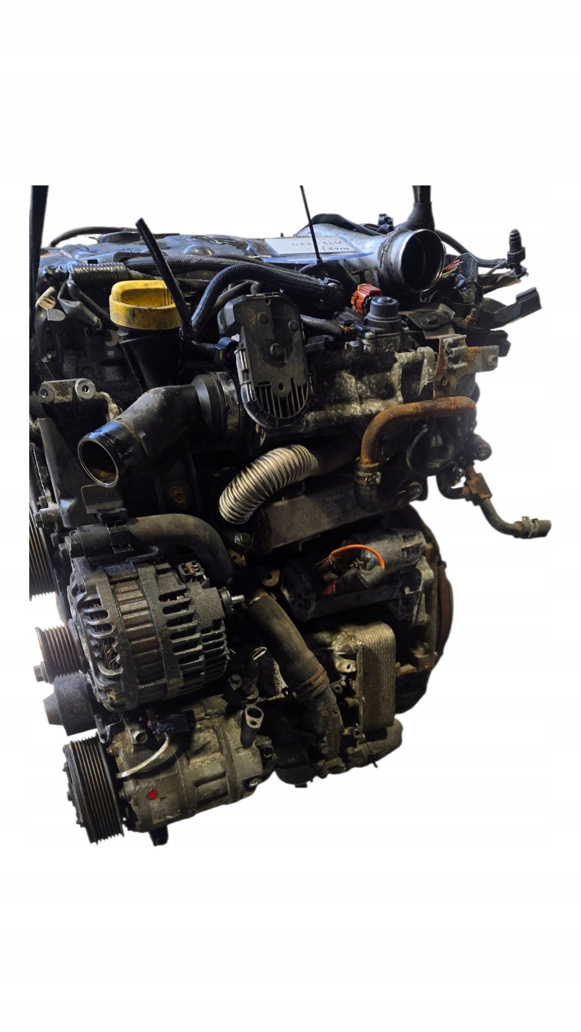 Moteur M9R830 Complet RENAULT KOLEOS, Envoi, Utilisé, Daihatsu