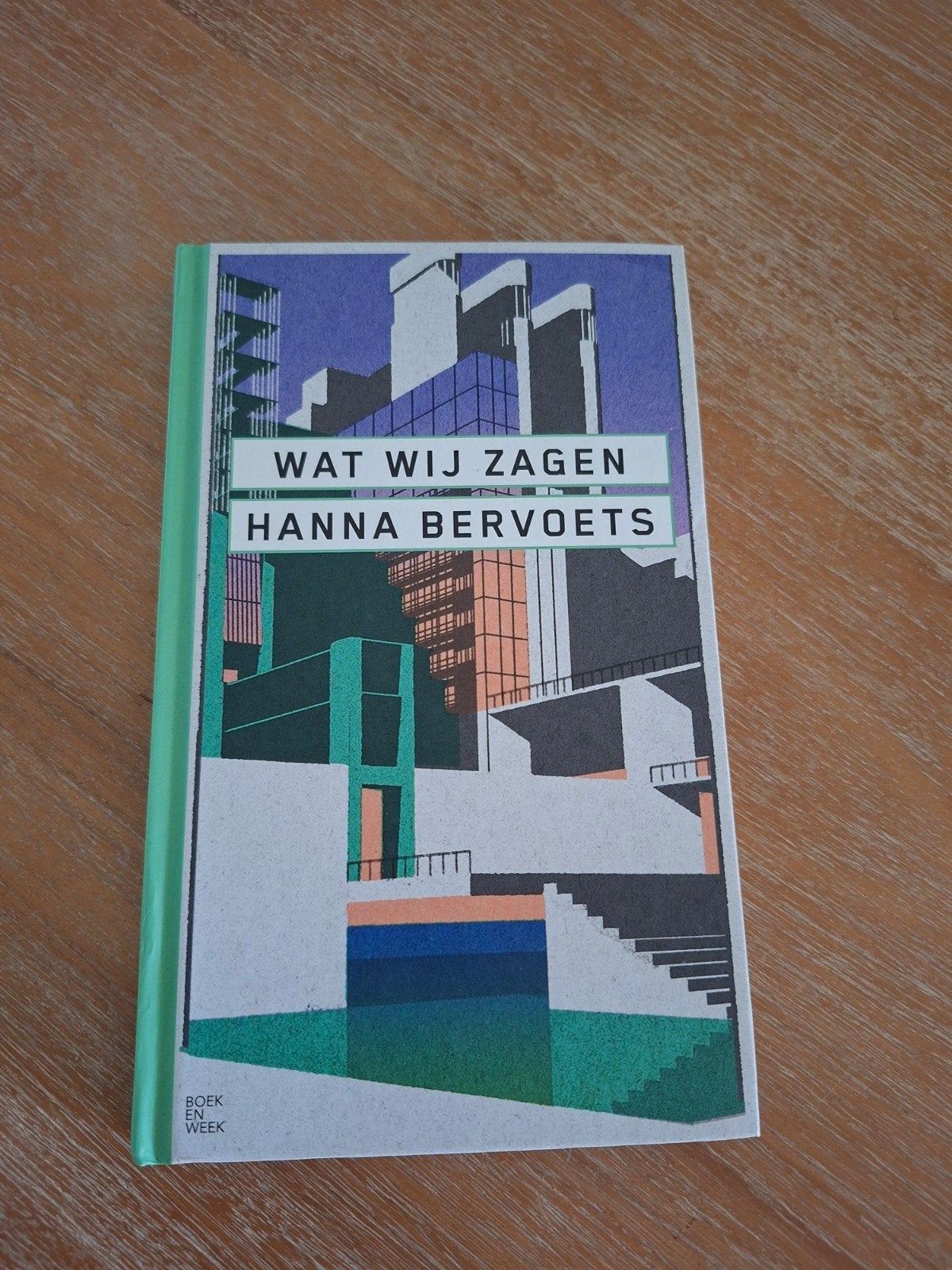 Boek wat wij zagen, Boeken, Boekenweekgeschenken, Ophalen of Verzenden, Zo goed als nieuw