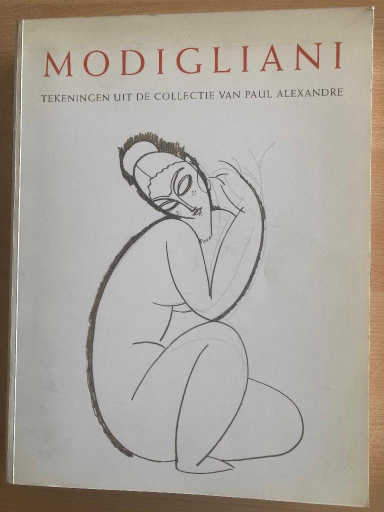 Modigliani, Livres, Art & Culture | Arts plastiques, Comme neuf, Enlèvement ou Envoi