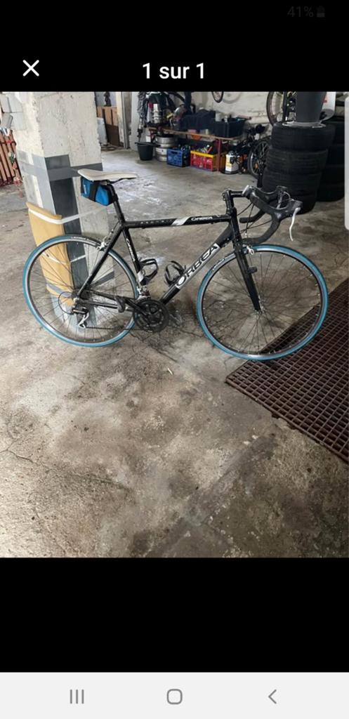 Orbea asphalt