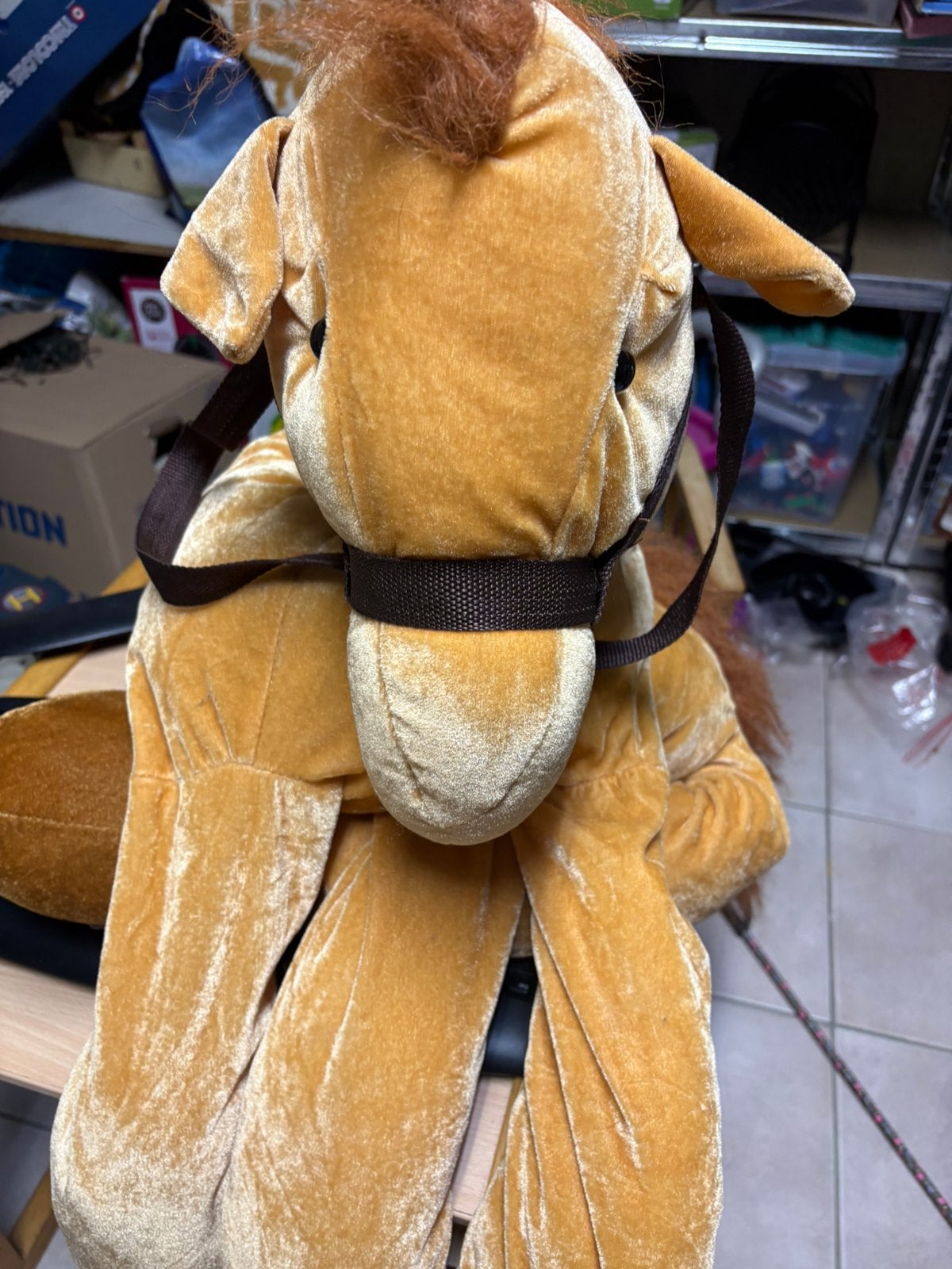 Costume de carnaval pour cheval, Enlèvement, Comme neuf