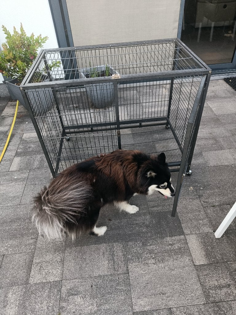 hondenbench, Ophalen, Gebruikt