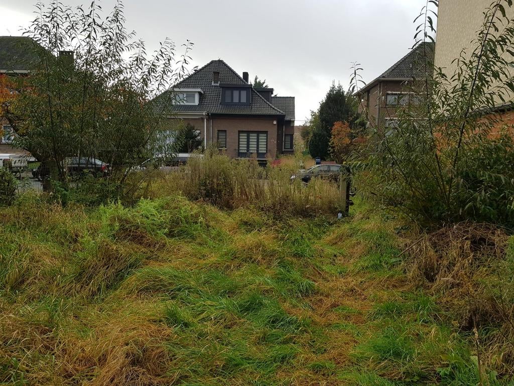 Bosmaaiservices - Tuinman, Tuin en Terras, Haag
