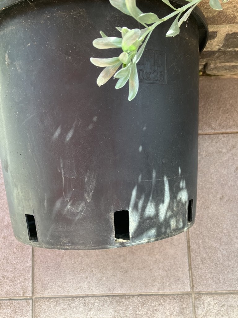 stevige bloempotten / kweekpotten, Ophalen, Kunststof, Gebruikt, Rond