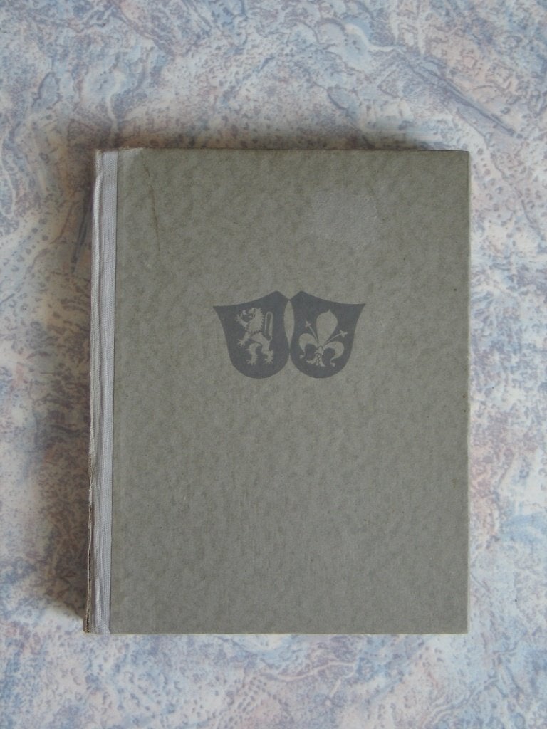 België Belgique Oorlog Guerre Bezetting Occupation 1940 1944, Livres, Histoire mondiale, Envoi, 20e siècle ou après, Comme neuf