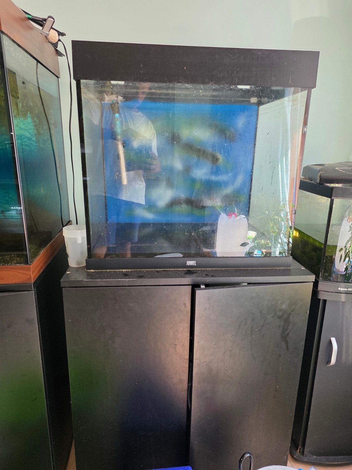 aquarium 140L, Enlèvement, Pompe
