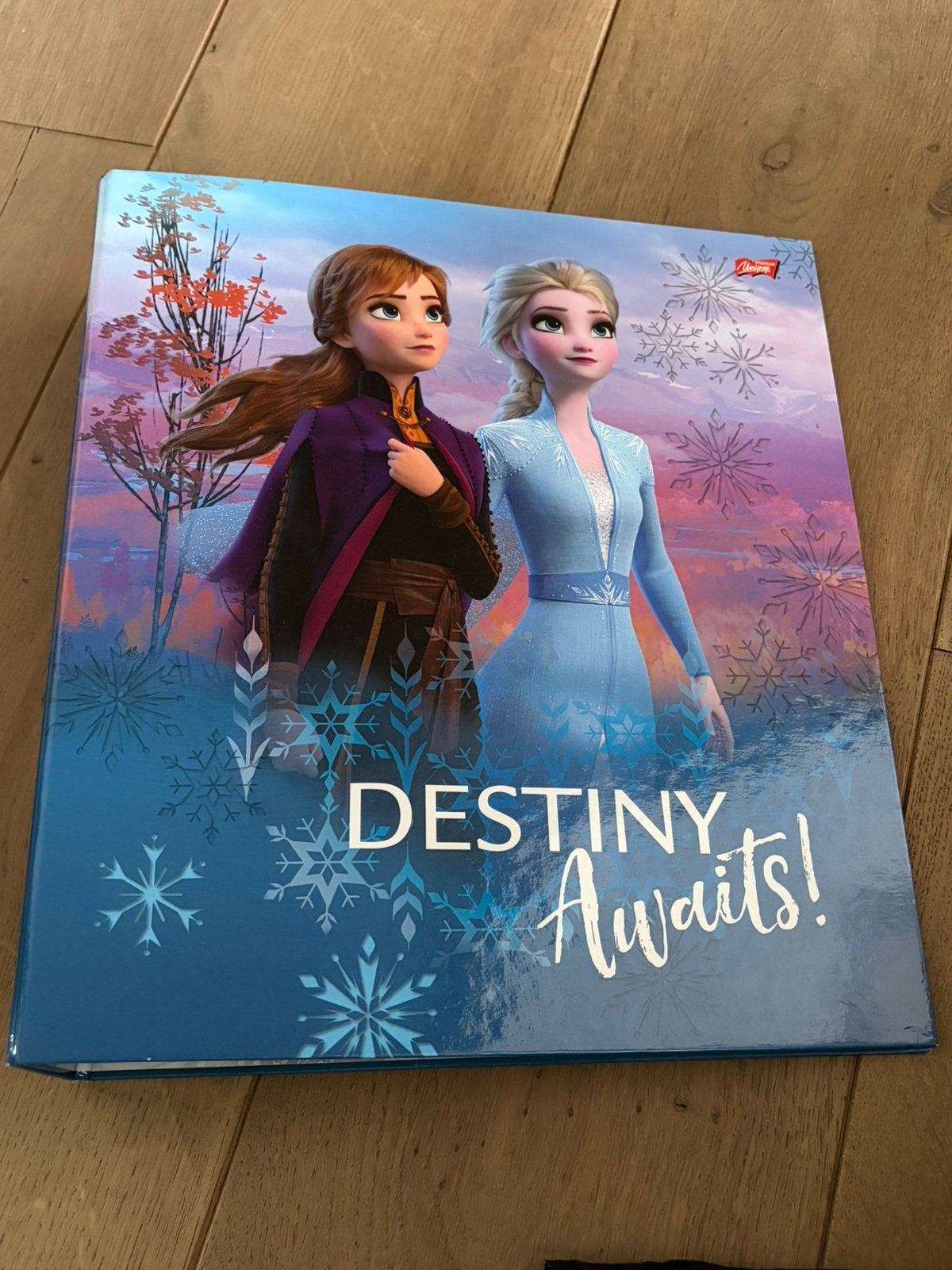 GRATIS Dikke ringmap Frozen A4, Divers, Fournitures scolaires, Enlèvement, Utilisé