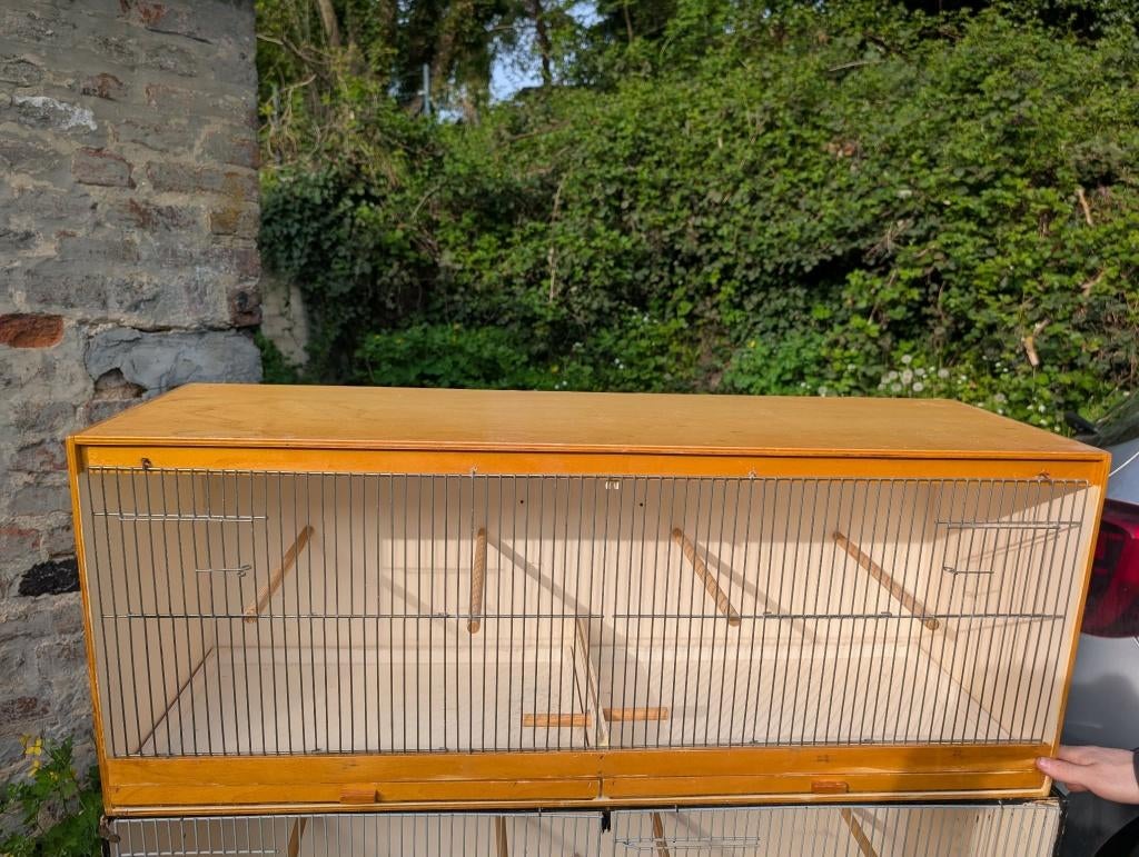 Cages a oiseaux, Enlèvement, Utilisé, Bois, Cage d'élevage