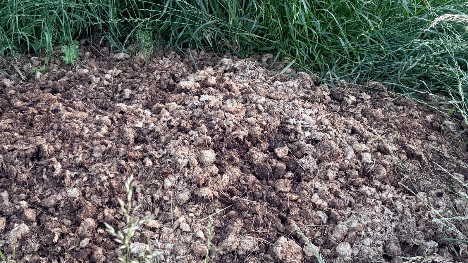 gratis paardenmest, Tuin en Terras, Aarde en Mest, Ophalen, Mest