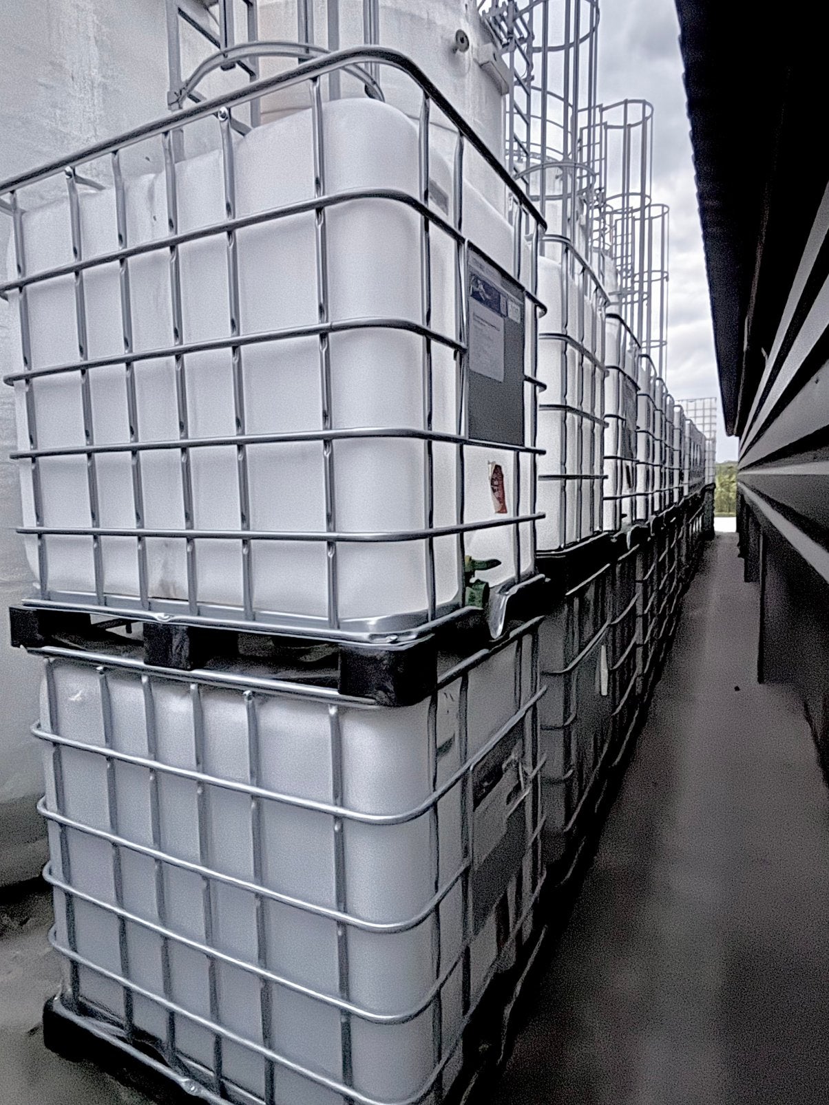 Regentonnen IBC m3, Ophalen, Zo goed als nieuw