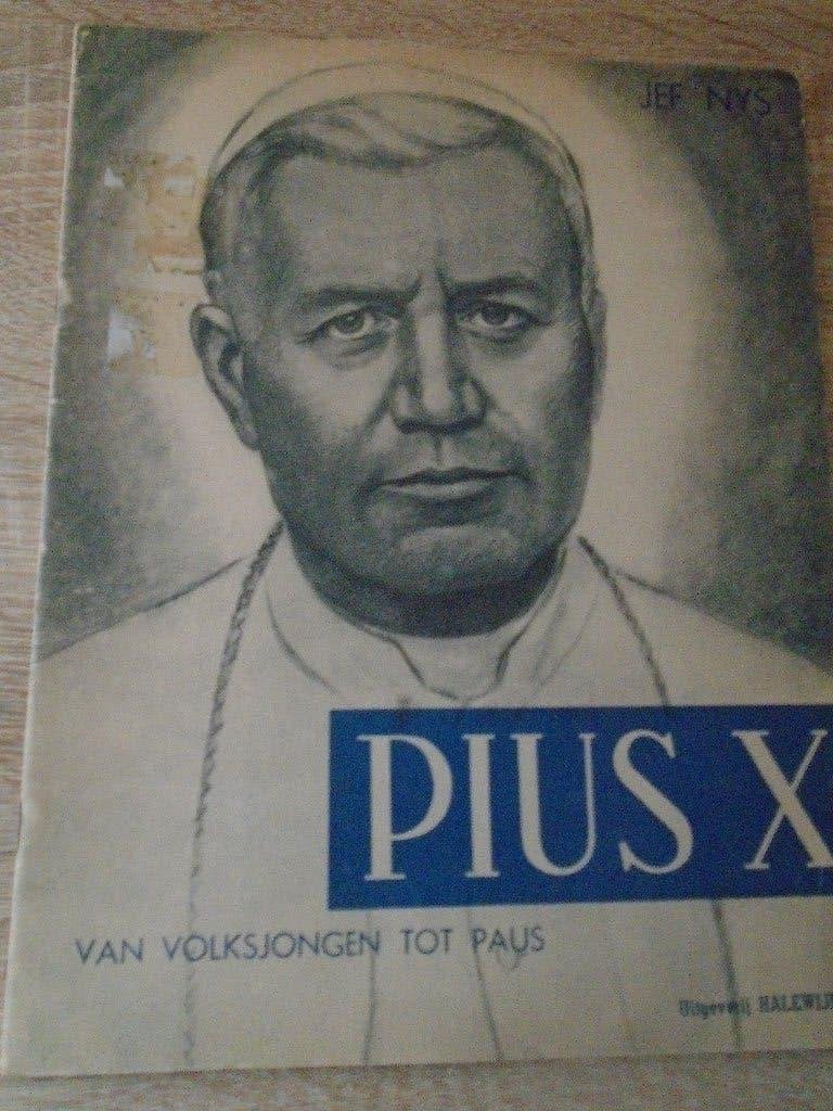 pius x : van volksjongen tot paus, Eén stripboek, Ophalen of Verzenden, Gelezen, Jef Nys