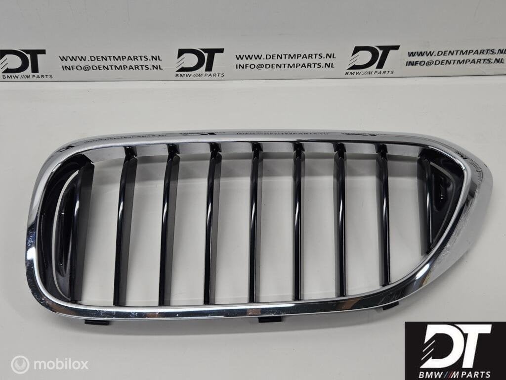 Grille links BMW 5-serie G30 G31 51137390863, Auto-onderdelen, Carrosserie, BMW, Gebruikt, Ophalen of Verzenden