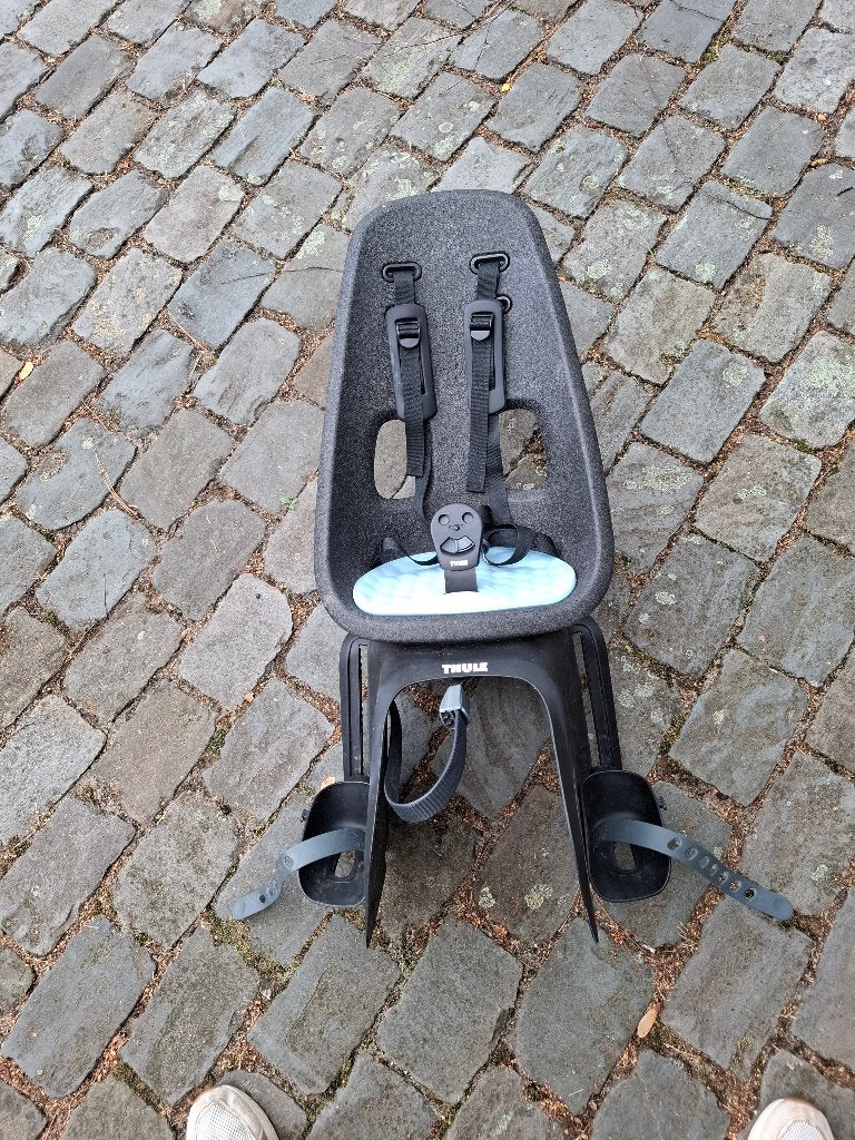 Fietsstoel Thule Yepp Nexxt 2 Maxi, Achterzitje, Yepp (Thule), 9 t/m 18 kg, Ophalen of Verzenden