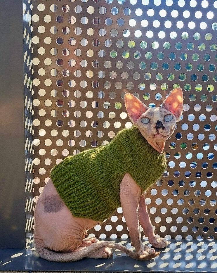 Op maat gemaakte Kattentrui Sphynx Kat Kitten Poes Kater, Animaux & Accessoires, Enlèvement ou Envoi, Neuf