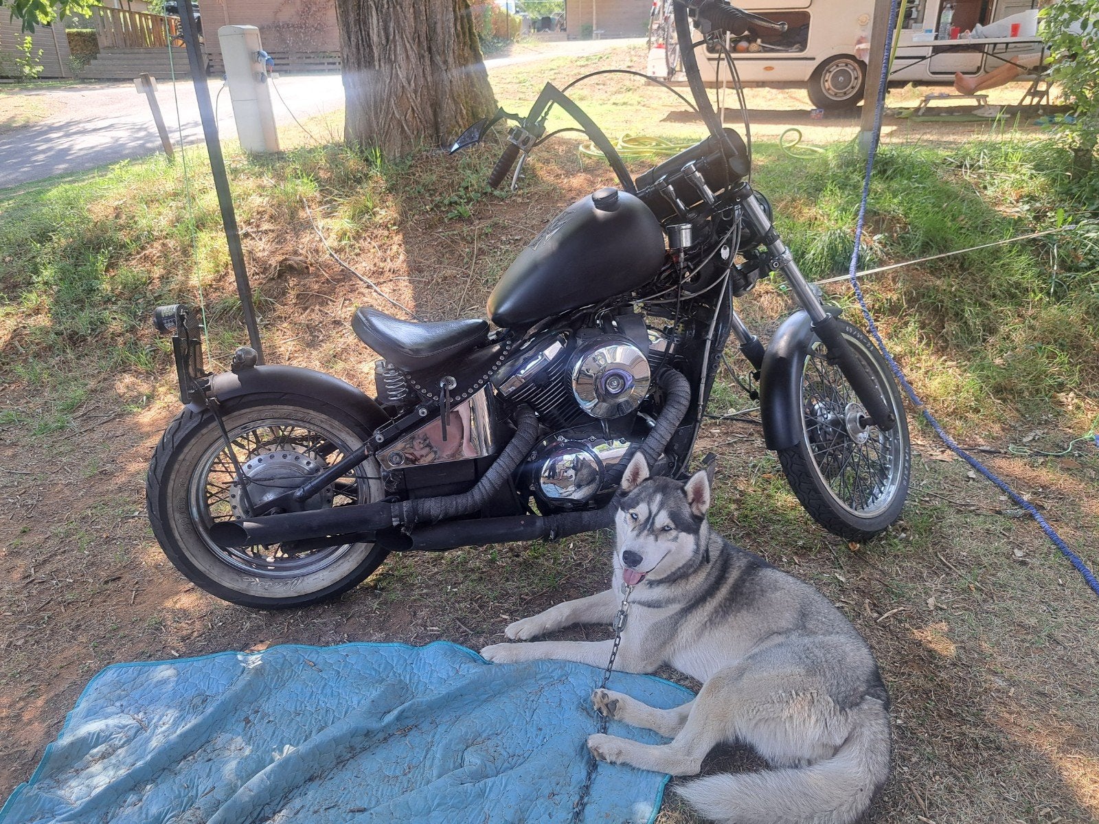 Kawasaki vulcan 800cc, Motos, Enlèvement