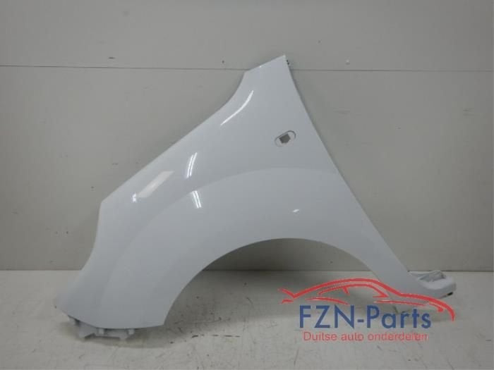 Renault Kangoo 2 Facelift Zijscherm (631015870R), Auto-onderdelen, Ophalen of Verzenden, Gebruikt