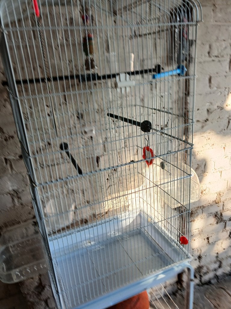 2 vogelkooien, Dieren en Toebehoren, Ophalen, Gebruikt, Metaal, Vogelkooi