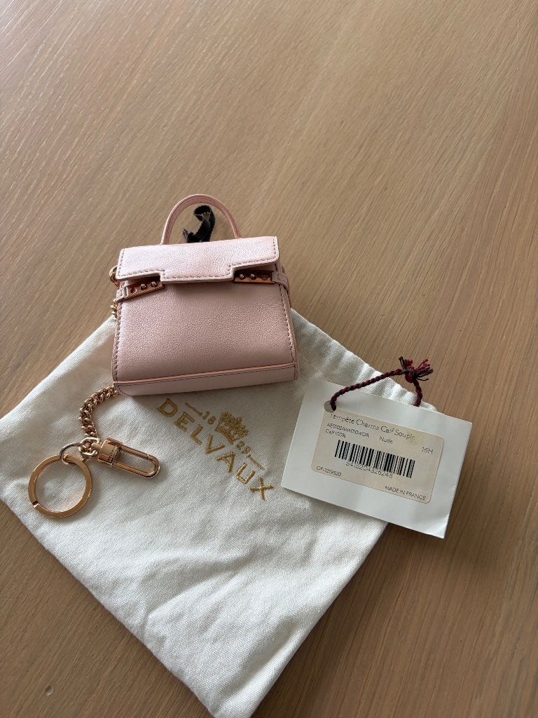 Delvaux Charm Tempête, Handtassen en Accessoires, Tassen | Damestassen, Ophalen of Verzenden, Nieuw, Roze, Overige typen