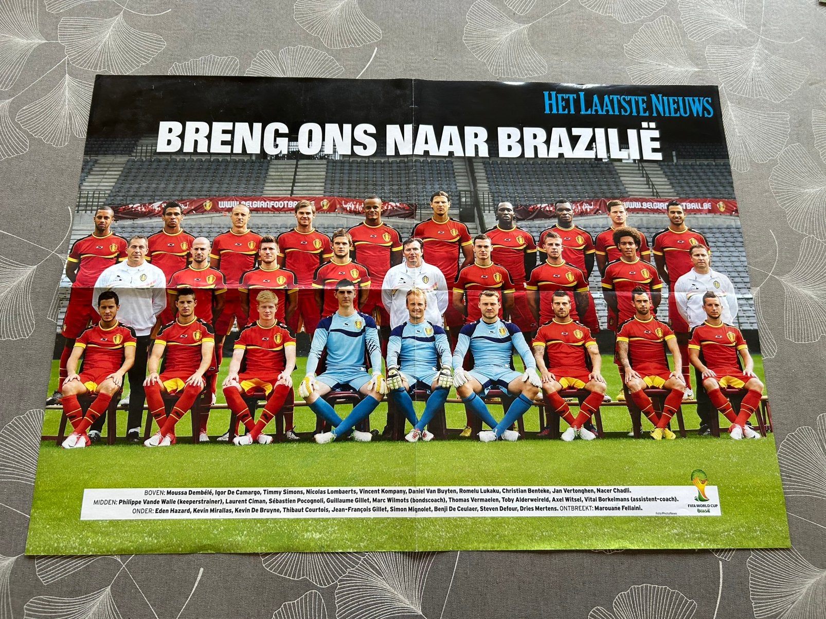 Poster Rode Duivels, Verzamelen, Ophalen of Verzenden, Zo goed als nieuw, Poster, Plaatje of Sticker