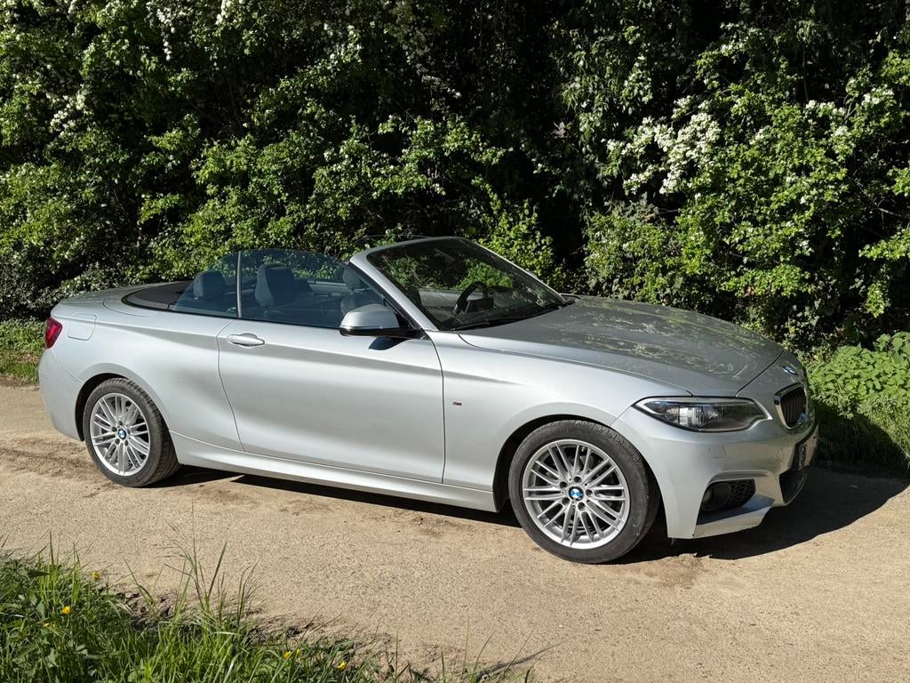 BMW 218i cabrio, Auto's, BMW, 100 kW, Achterwielaandrijving, Zwart, Alcantara