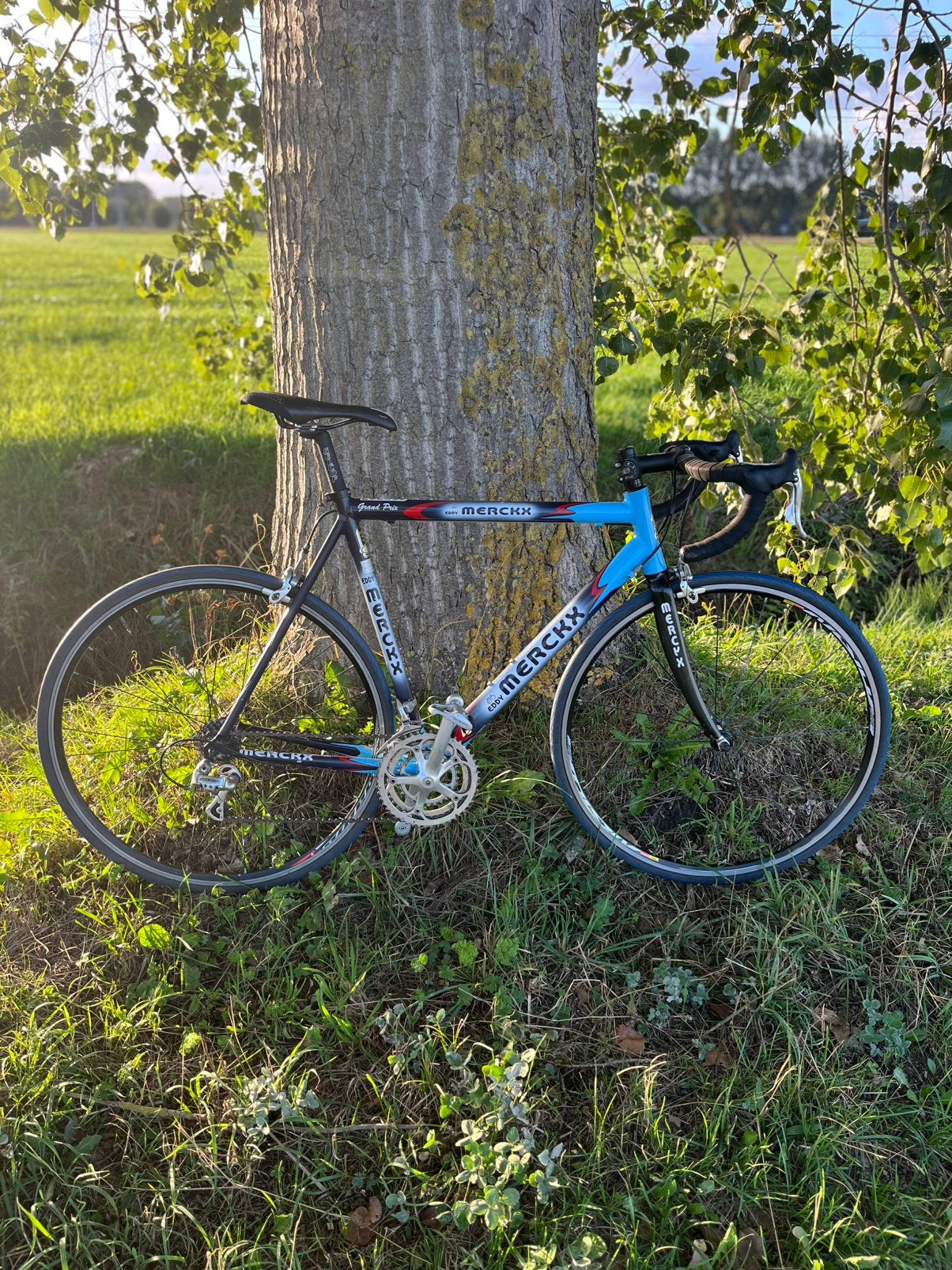Merckx Grand Prix ‘04, 28 inch, Gebruikt, Carbon, Velgrem