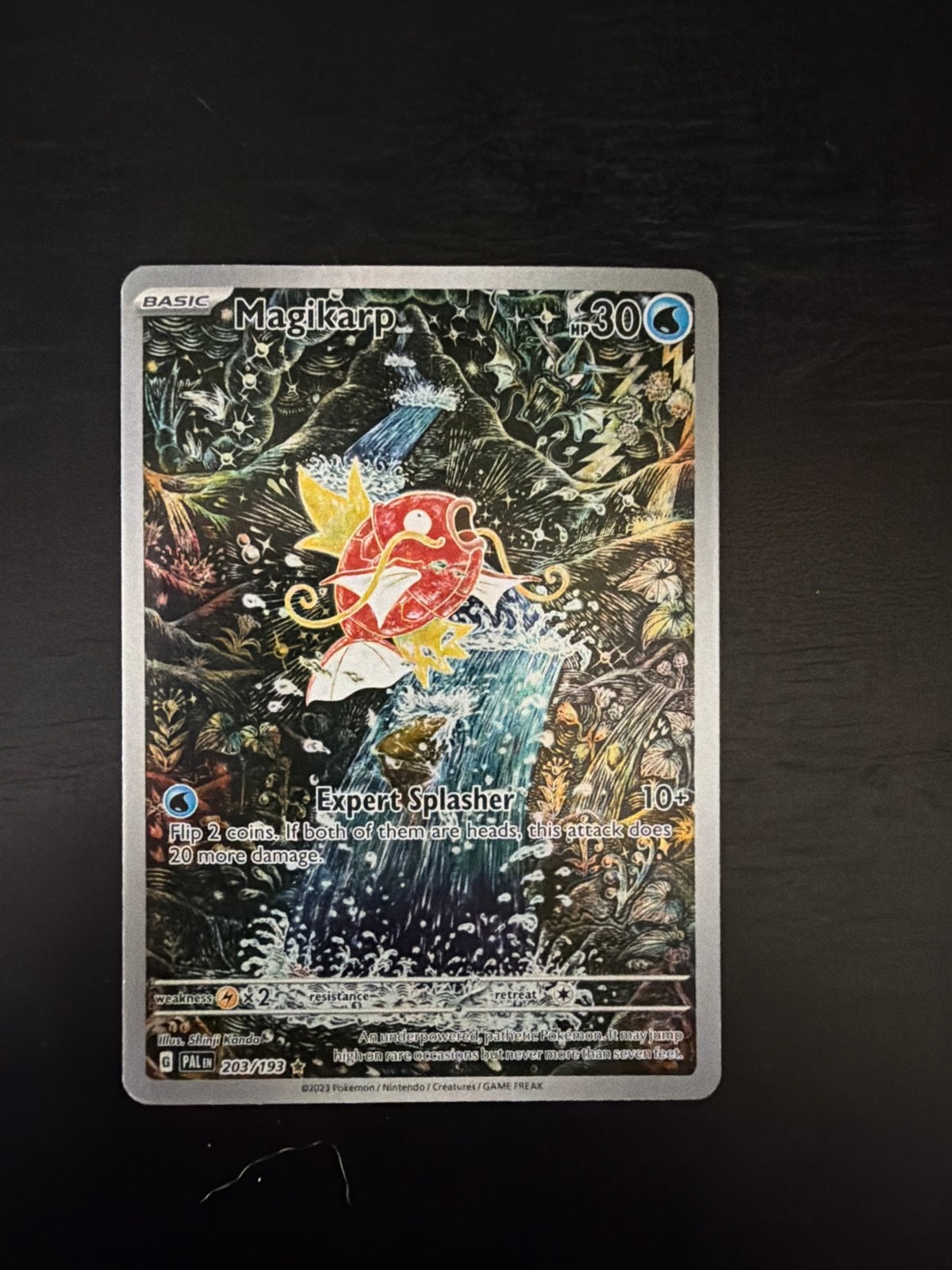 Le palais Magikarp 203 a évolué, Hobby & Loisirs créatifs, Enlèvement, Comme neuf, Booster