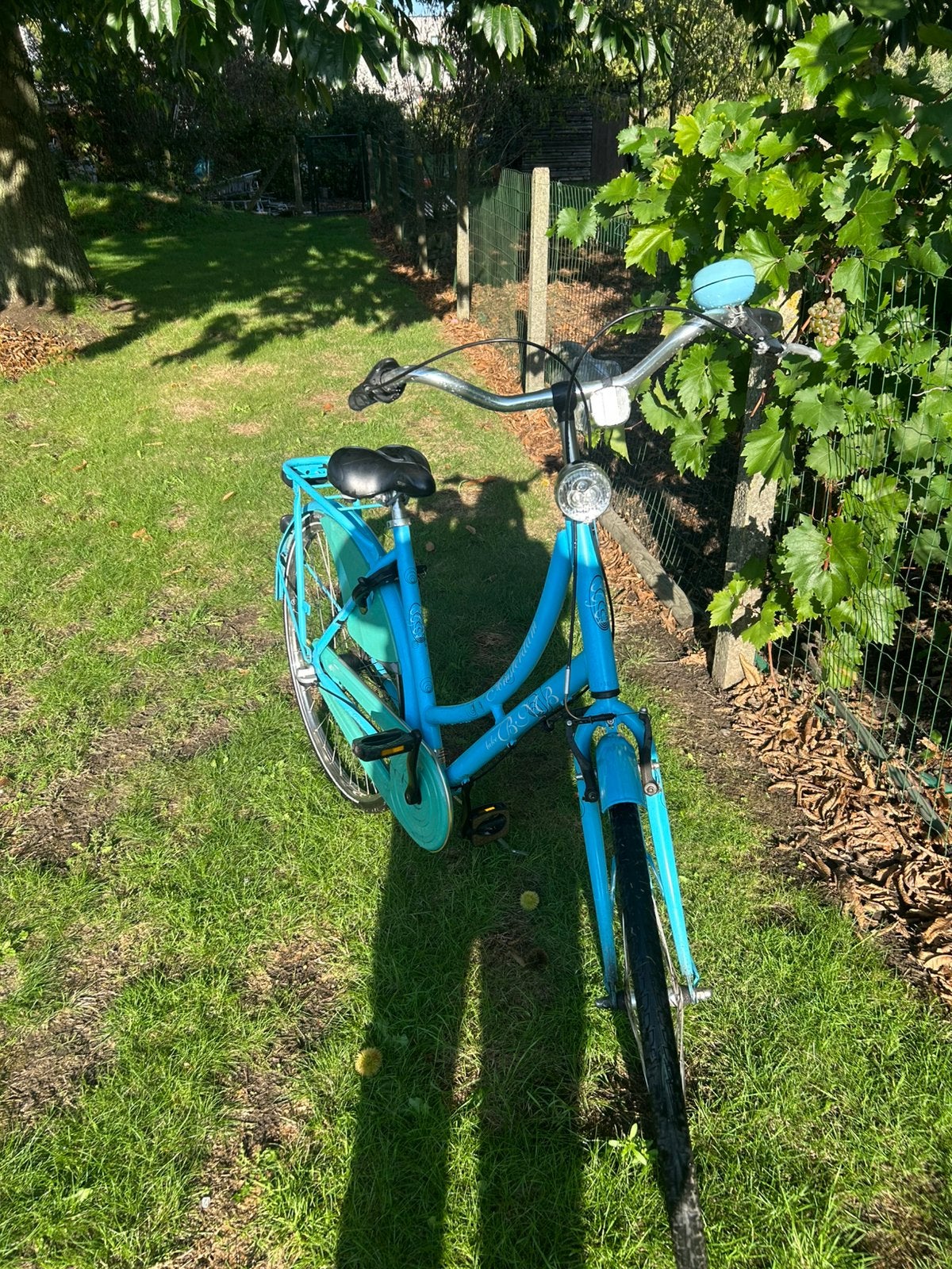 Mooie omafiets, Fietsen en Brommers, Ophalen, Terugtraprem, 47 tot 50 cm, Zo goed als nieuw