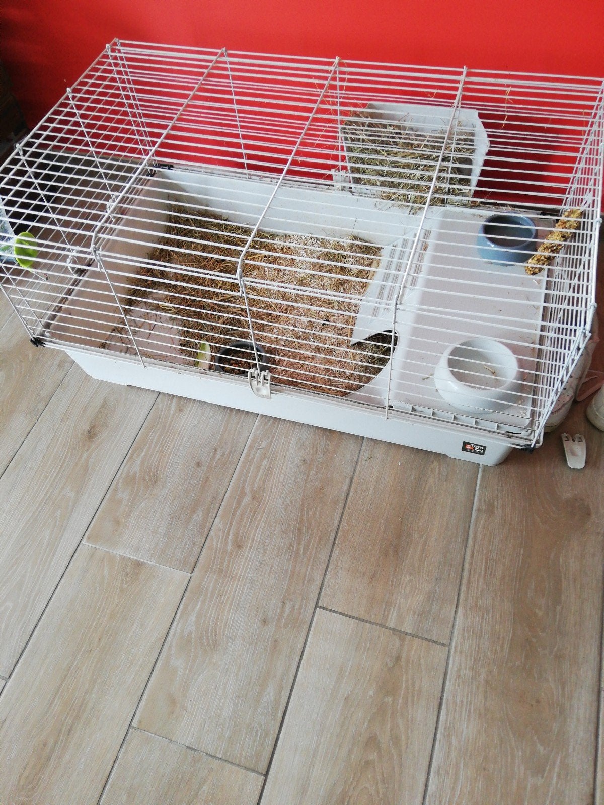 Cage xxl lapin et divers, Enlèvement, Cage, Lapin