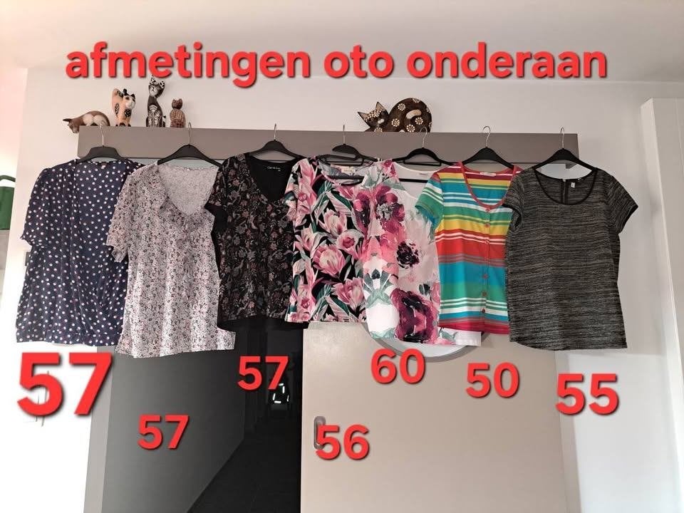 Shirts en blouses, mt 44/46, pakketvoordeel, Kleding | Dames, Topjes, Meerkleurig, Maat 46/48 (XL) of groter, Ophalen of Verzenden