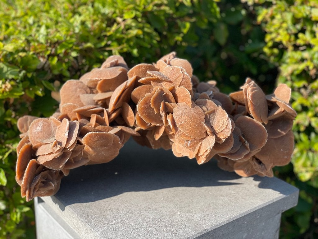 Groot gesteente woestijnreiziger 48 cm, Verzamelen, Ophalen