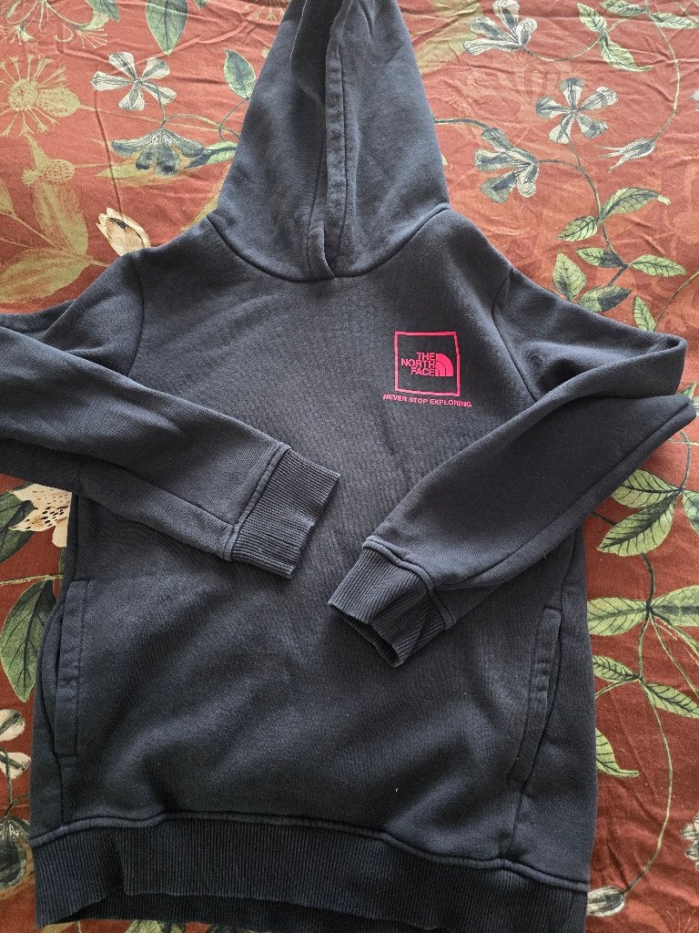 2 Hoodies nord face en tommihilfiger, Enlèvement, Porté, Taille 56/58 (XL)