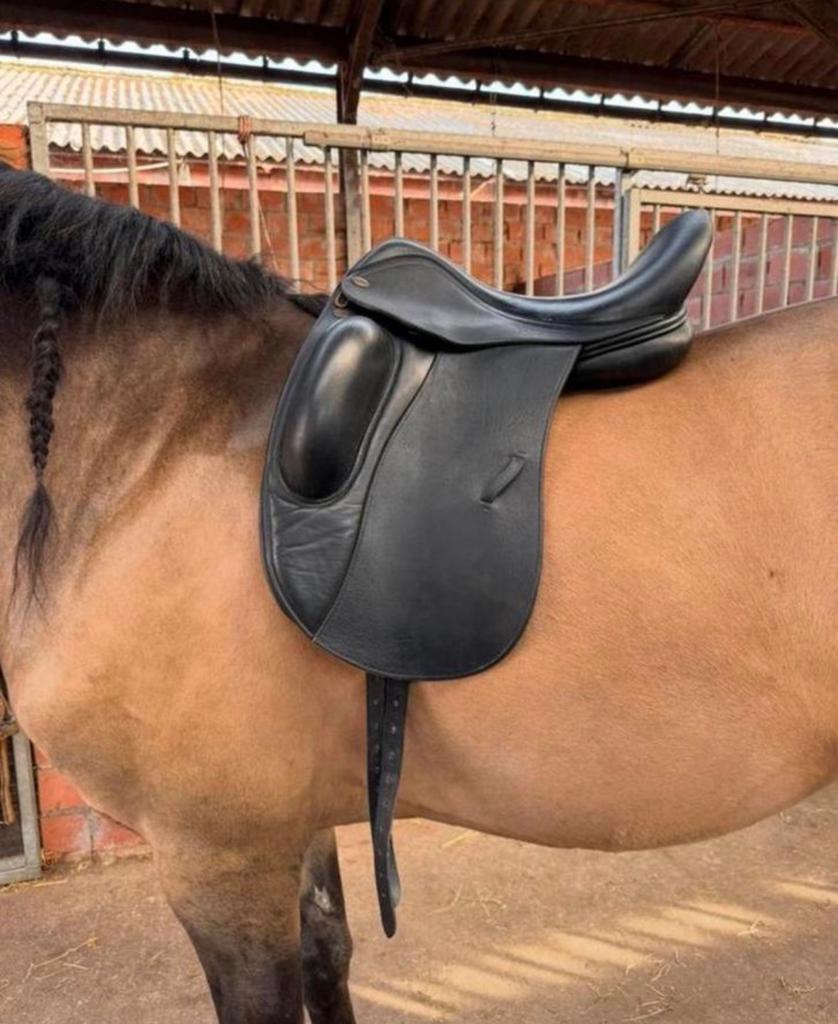 Harry Dabbs Allure Dressuurzadel, Dieren en Toebehoren, Ophalen of Verzenden, Zo goed als nieuw