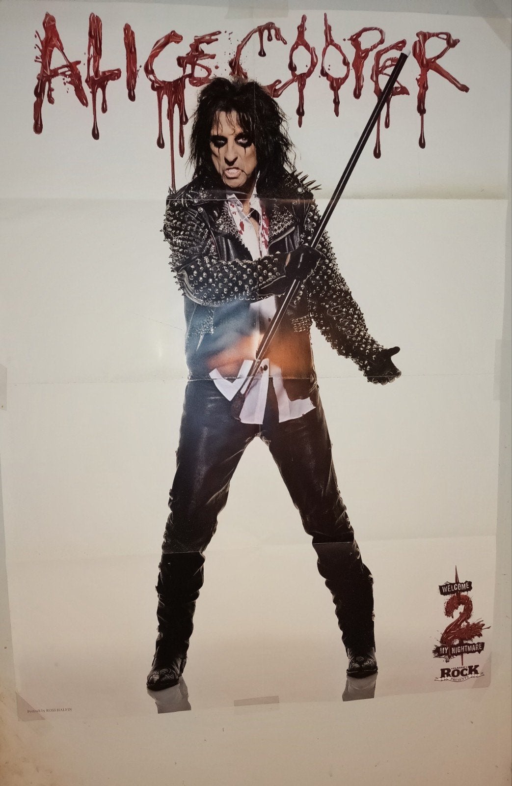 Affiche Alice Cooper, Collections, Enlèvement ou Envoi, Comme neuf, Rectangulaire vertical